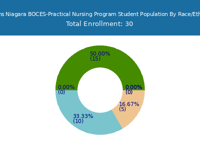Orleans Niagara BOCES-Practical Nursing Program 2025 Student Population by Gender and Race chart