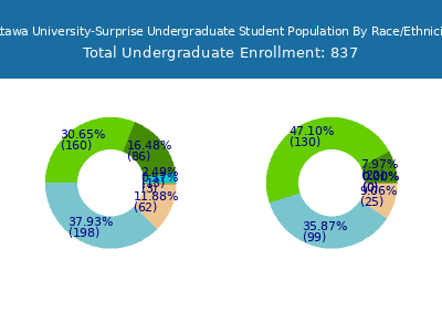Ottawa University-Surprise 2025 Undergraduate Enrollment by Gender and Race chart