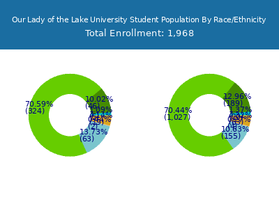 Our Lady of the Lake University 2025 Student Population by Gender and Race chart
