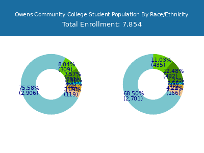 Owens Community College 2025 Student Population by Gender and Race chart