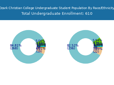 Ozark Christian College 2025 Undergraduate Enrollment by Gender and Race chart