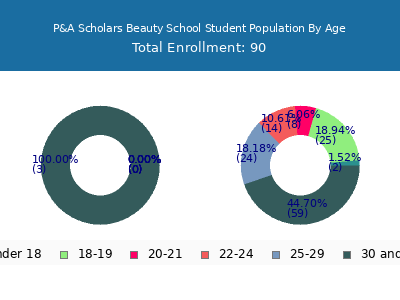 P&A Scholars Beauty School 2024 Student Population Age Diversity Pie chart