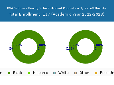 P&A Scholars Beauty School 2023 Student Population by Gender and Race chart