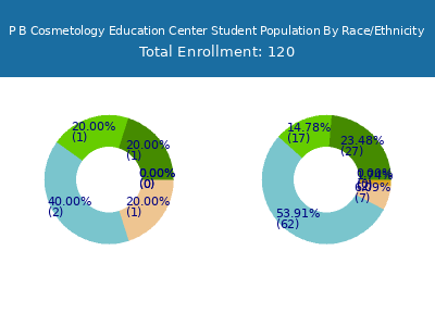 P B Cosmetology Education Center 2025 Student Population by Gender and Race chart