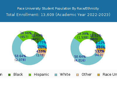 Pace University 2023 Student Population by Gender and Race chart