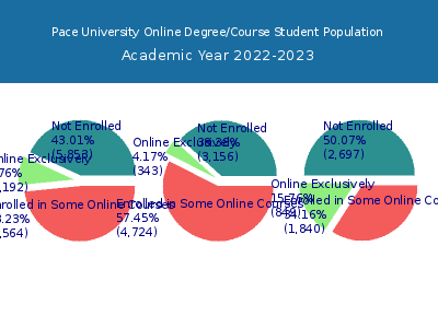 Pace University 2023 Online Student Population chart