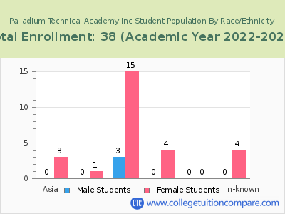 Palladium Technical Academy Inc 2023 Student Population by Gender and Race chart