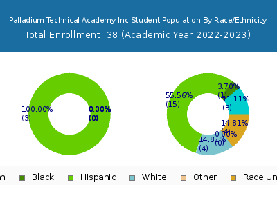 Palladium Technical Academy Inc 2023 Student Population by Gender and Race chart