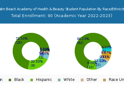 Palm Beach Academy of Health & Beauty 2023 Student Population by Gender and Race chart