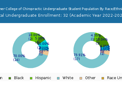 Palmer College of Chiropractic 2023 Undergraduate Enrollment by Gender and Race chart