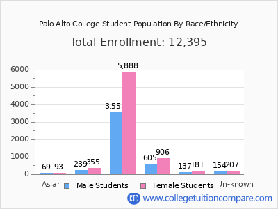 Palo Alto College 2025 Student Population by Gender and Race chart