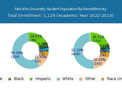 Palo Alto University 2023 Student Population by Gender and Race chart