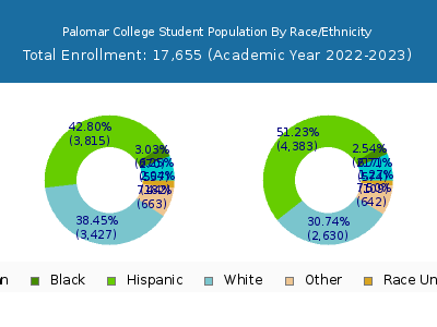 Palomar College 2023 Student Population by Gender and Race chart