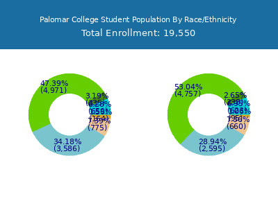 Palomar College 2025 Student Population by Gender and Race chart
