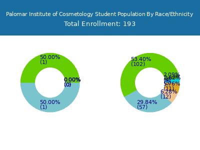 Palomar Institute of Cosmetology 2025 Student Population by Gender and Race chart