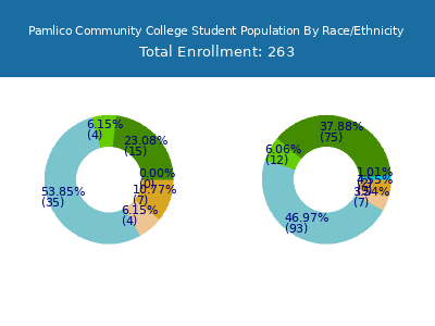 Pamlico Community College 2025 Student Population by Gender and Race chart
