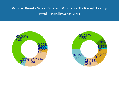 Parisian Beauty School 2025 Student Population by Gender and Race chart