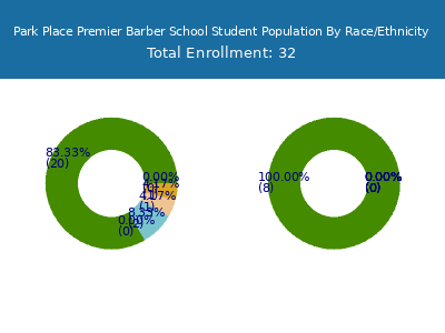 Park Place Premier Barber School 2025 Student Population by Gender and Race chart