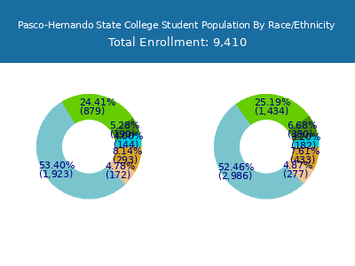 Pasco-Hernando State College 2025 Student Population by Gender and Race chart