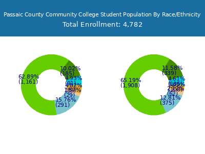 Passaic County Community College 2025 Student Population by Gender and Race chart