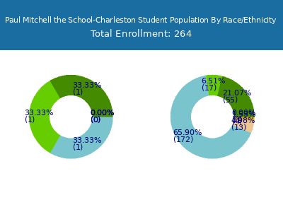 Paul Mitchell the School-Charleston 2025 Student Population by Gender and Race chart