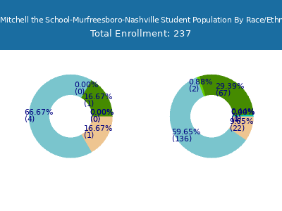 Paul Mitchell the School-Murfreesboro-Nashville 2025 Student Population by Gender and Race chart
