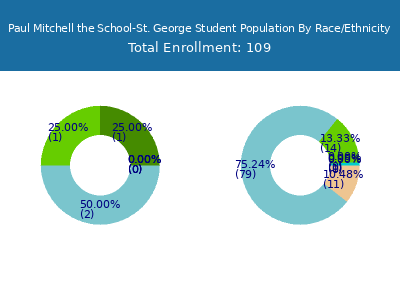 Paul Mitchell the School-St. George 2025 Student Population by Gender and Race chart