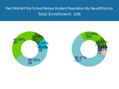 Paul Mitchell the School-Tampa 2025 Student Population by Gender and Race chart