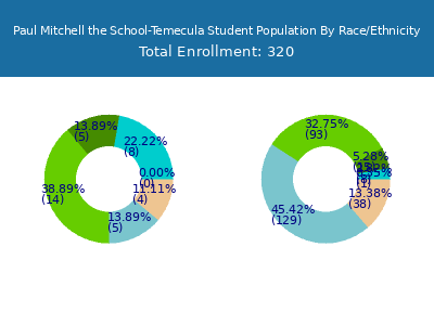 Paul Mitchell the School-Temecula 2025 Student Population by Gender and Race chart