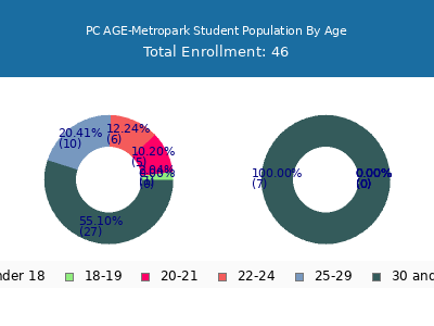 PC AGE-Metropark 2024 Student Population Age Diversity Pie chart