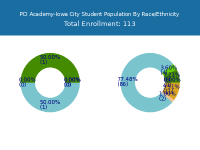 PCI Academy-Iowa City 2025 Student Population by Gender and Race chart