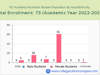 PCI Academy-Plymouth 2023 Student Population by Gender and Race chart
