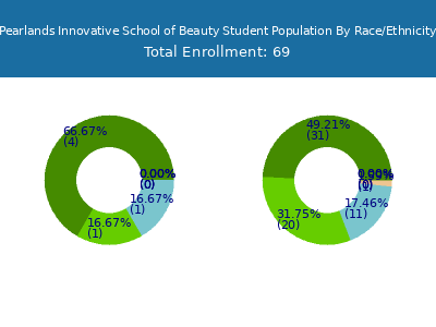 Pearlands Innovative School of Beauty 2025 Student Population by Gender and Race chart