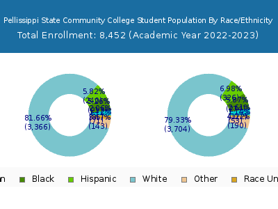 Pellissippi State Community College 2023 Student Population by Gender and Race chart