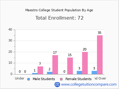 Maestro College 2024 Student Population by Age chart