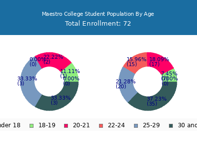 Maestro College 2024 Student Population Age Diversity Pie chart