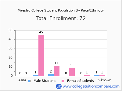 Maestro College 2025 Student Population by Gender and Race chart