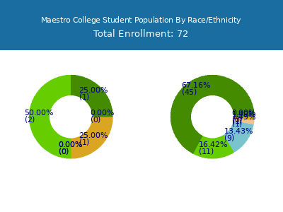 Maestro College 2025 Student Population by Gender and Race chart