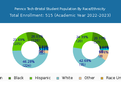 Pennco Tech-Bristol 2023 Student Population by Gender and Race chart