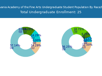Pennsylvania Academy of the Fine Arts 2025 Undergraduate Enrollment by Gender and Race chart