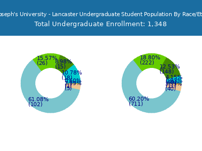 Saint Joseph's University - Lancaster 2025 Undergraduate Enrollment by Gender and Race chart