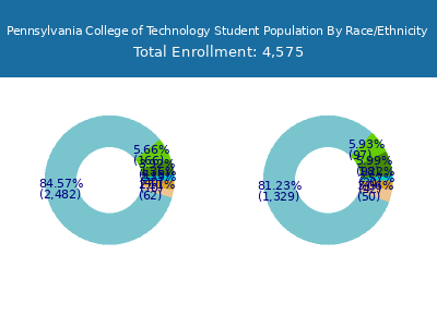 Pennsylvania College of Technology 2025 Student Population by Gender and Race chart