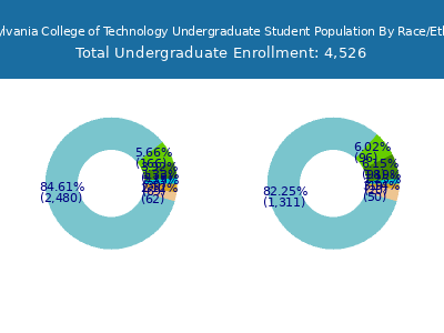 Pennsylvania College of Technology 2025 Undergraduate Enrollment by Gender and Race chart