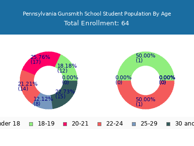 Pennsylvania Gunsmith School 2024 Student Population Age Diversity Pie chart