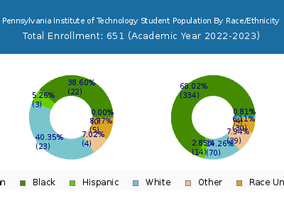 Pennsylvania Institute of Technology 2023 Student Population by Gender and Race chart