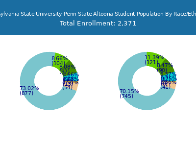 Pennsylvania State University-Penn State Altoona 2025 Student Population by Gender and Race chart