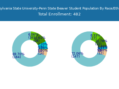 Pennsylvania State University-Penn State Beaver 2025 Student Population by Gender and Race chart