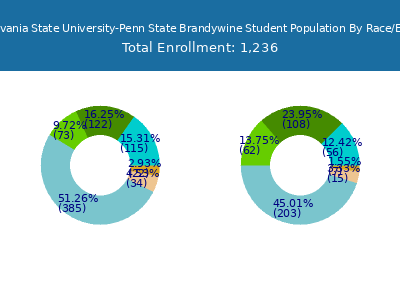 Pennsylvania State University-Penn State Brandywine 2025 Student Population by Gender and Race chart
