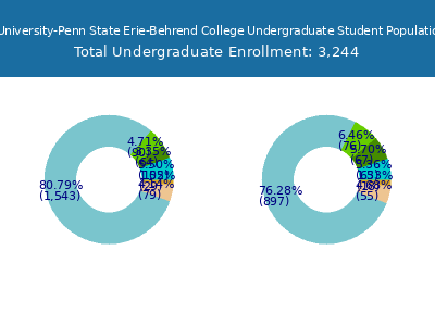 Pennsylvania State University-Penn State Erie-Behrend College 2025 Undergraduate Enrollment by Gender and Race chart