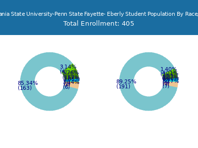 Pennsylvania State University-Penn State Fayette- Eberly 2025 Student Population by Gender and Race chart